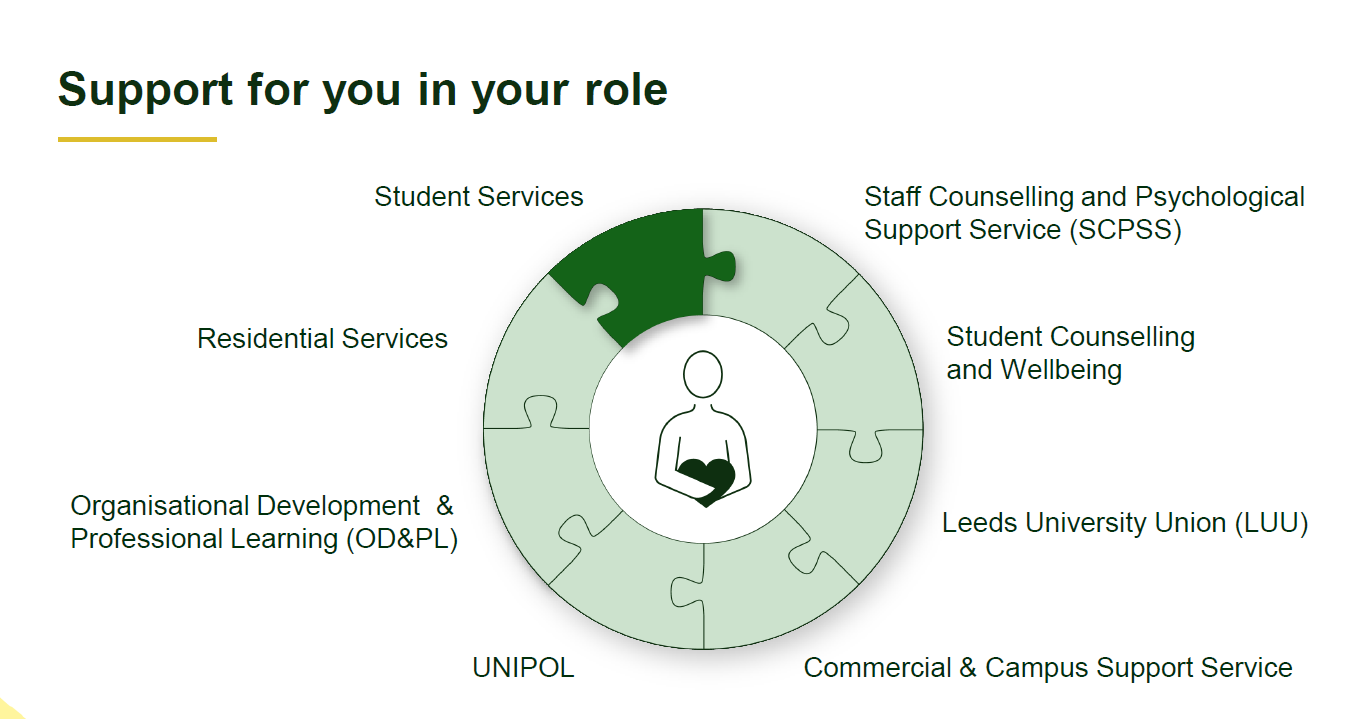 This graphic shows a jigsaw, and each piece is connected to other services in the University